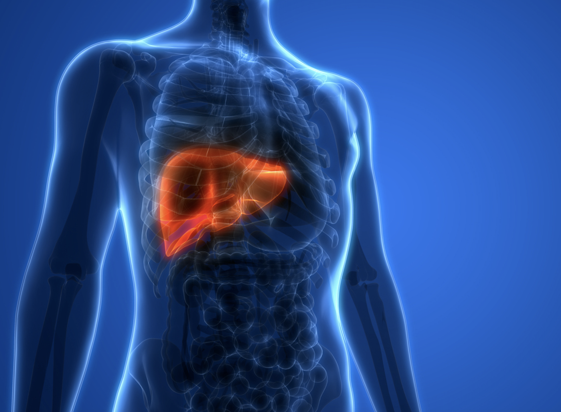 Fatty Liver Disease Treatment in Dubai