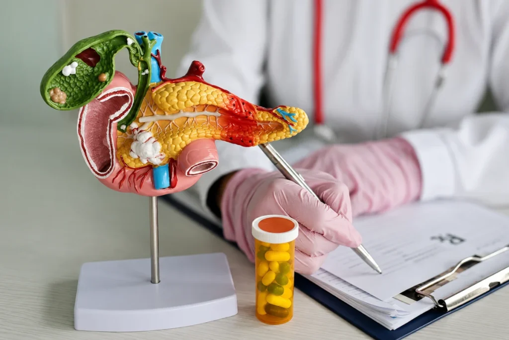 The Link Between Obesity and Digestive System Diseases 3 Medical illustration showing the digestive organs and their connection to obesity-related health problems