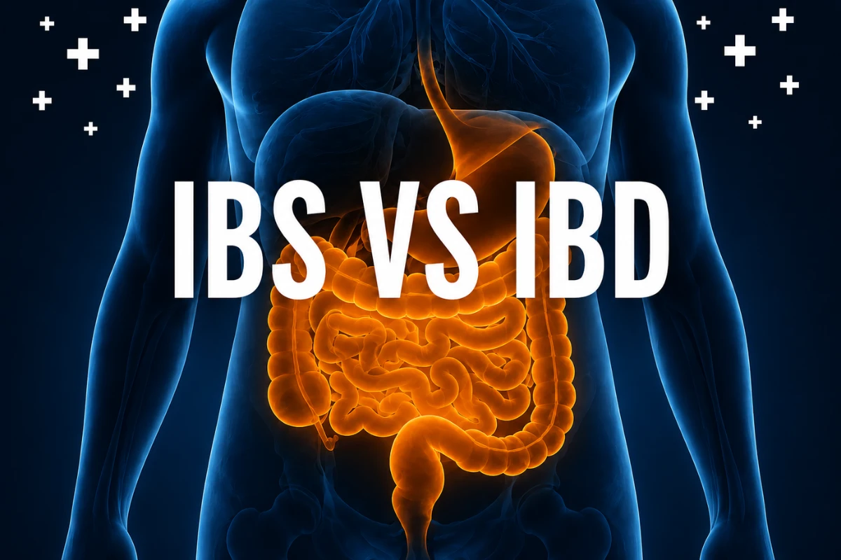 A digital medical illustration of a human torso with a glowing stomach and intestines, overlaid with large bold text reading "IBS VS IBD" to compare Irritable Bowel Syndrome and Inflammatory Bowel Disease.